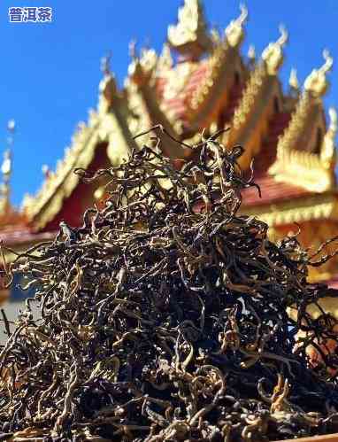 普洱芽茶怎么样，探究普洱芽茶的口感与功效，一文带你熟悉