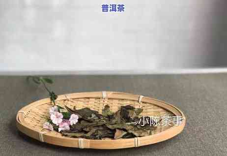 普洱茶的香作用与功效：解析及采用禁忌