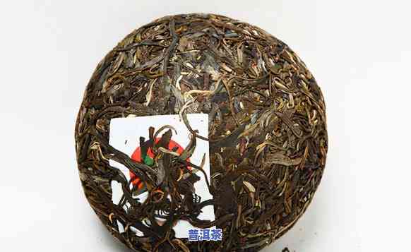 普洱茶：大叶种与小叶种，哪种更好？