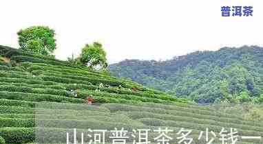 高山河普洱茶价格多少钱一盒，探寻高山河普洱茶的价格，一盒究竟需要多少钱？