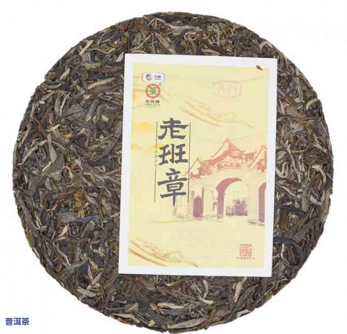 老班章古茶树：探寻千年树龄与王者传说