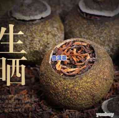 青海陈皮普洱茶保存时间-青海陈皮普洱茶保存时间多久