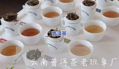 昆明老班章生产厂家电话，查询昆明老班章生产厂家电话，一键获取联系方法！