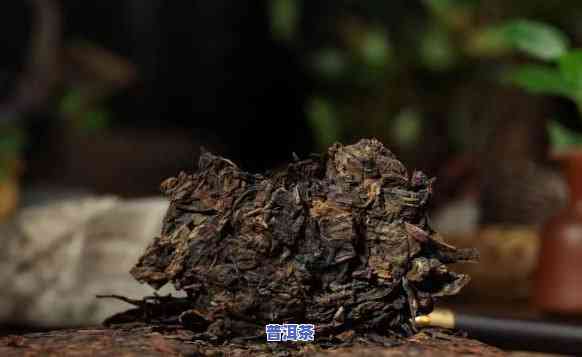 宁波古树普洱茶哪家好喝点，宁波哪里的古树普洱茶好喝？推荐几家店！