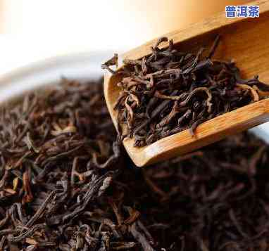 宁夏普洱茶批发价多少钱1斤，熟悉宁夏普洱茶：最新批发行情，1斤售价多少？