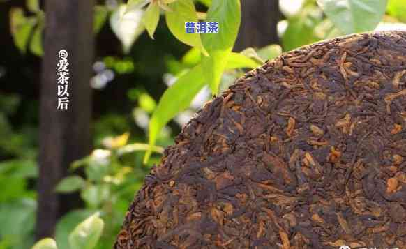 熟普洱茶饼口感怎样样啊图片，探索熟普洱茶饼的口感：透过图片一探究竟