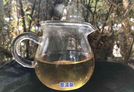 老班章古树茶是什么茶，探秘古老韵味：老班章古树茶的神秘面纱