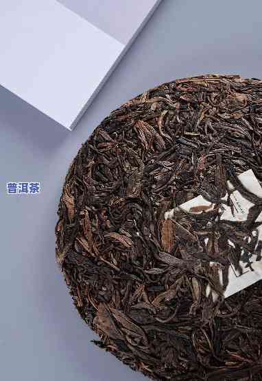 宁波古树普洱茶排行-宁波古树普洱茶排行榜