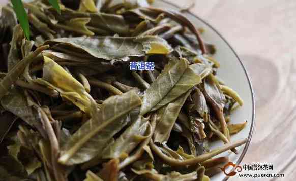 下关普洱茶怎么样，深度解析：下关普洱茶的品质与口感究竟怎样？