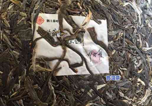 宁波古树普洱茶保存时间-宁波古树普洱茶保存时间多久