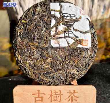 宁波古树普洱茶保存时间-宁波古树普洱茶保存时间多久