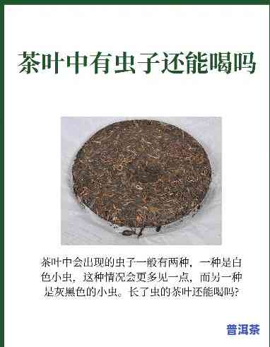 普洱生态茶怎样杀清虫子，普洱生态茶的虫害防治方法：杀清虫子的技巧与建议