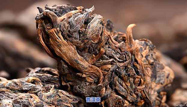 普洱老茶头为什么泡不开，揭秘：为何普洱老茶头难以泡开？