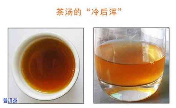 普洱茶汤里有棉絮状悬浮物：加热后能否饮用？茶叶冲泡后出现类似棉絮的现象