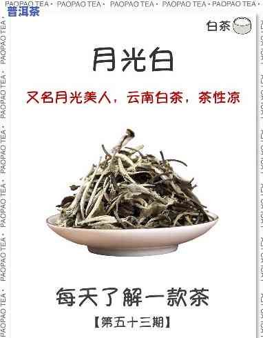 普洱月光白属于什么茶，探秘茶叶世界：熟悉普洱月光白的品种归属