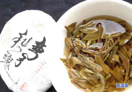 大卢山普洱茶：特别特点与详细介绍