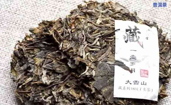 大卢山普洱茶特点介绍词-大卢山普洱茶特点介绍词