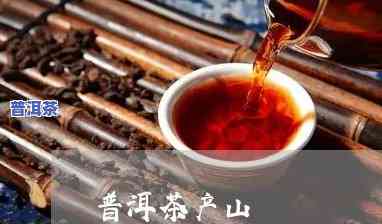 大卢山普洱茶特点介绍词-大卢山普洱茶特点介绍词