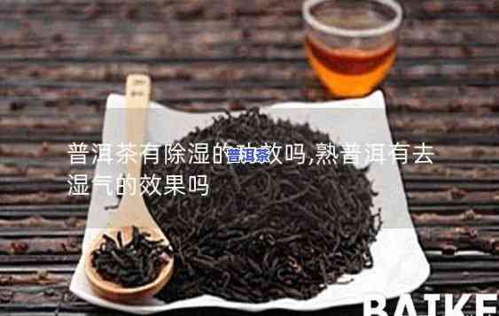 普洱茶吸湿怎么办呀视频-普洱茶吸湿怎么办呀视频讲解