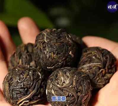 龙珠普洱茶快速泡散方法