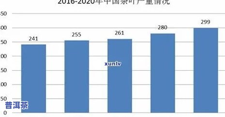 山东普洱茶市场现状及发展前景分析