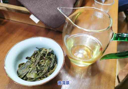 普洱茶更好的品种是什么，探秘普洱茶：哪种品种被誉为更佳？