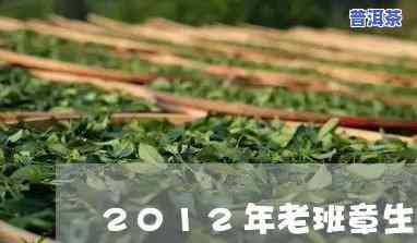 2012老班章生茶价格一览：历年价格对比与分析