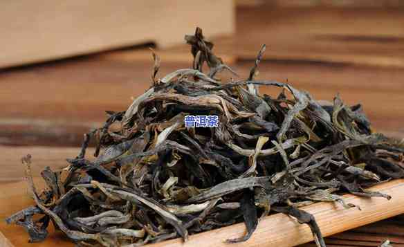 版纳普洱茶包含哪些种类？从大叶种到小叶种、生茶到熟茶，一网打尽！