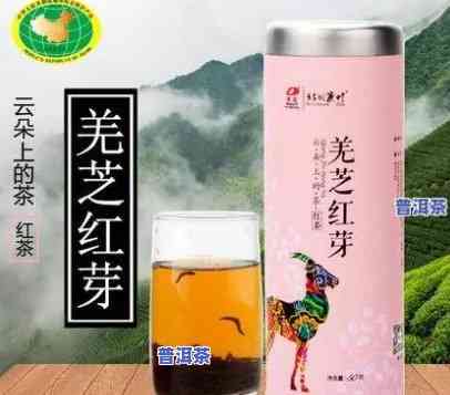 芒嘎拉古树红茶价格全揭秘：礼盒、单斤售价一览