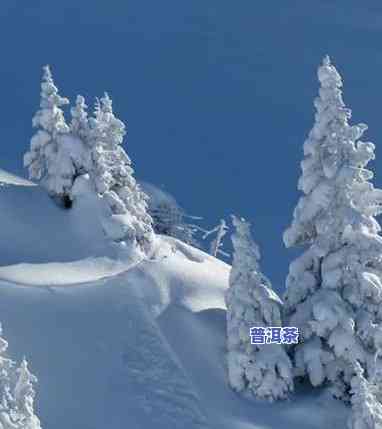 雪地里的图片唯美，冬日仙境：雪地里的一幅唯美景色