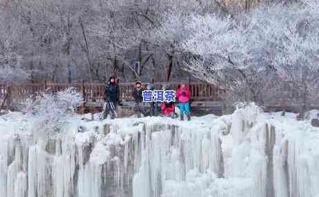 雪地里的雪，银装素裹：雪地里的冬季仙境