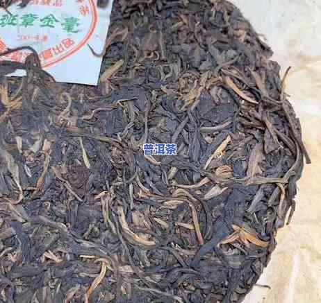 勐海县班章老茶树厂：班章金毫与优质普洱茶的诞生地