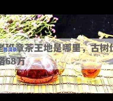 老班章茶王地是什么-老班章茶王地是哪里