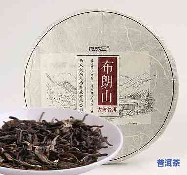 布朗山和颐普洱茶价格表-布朗山普洱茶的区别和特点