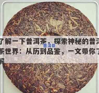 搜索普洱茶，探索神秘的普洱茶世界：一次深入的搜索之旅