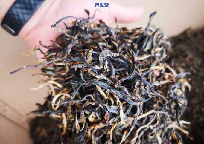 老班章红茶为什么贵-老班章红茶的口感