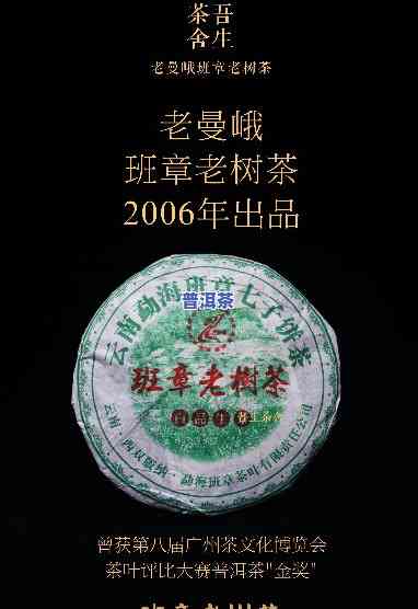 老曼峨班章老树2005：追寻历史痕迹的老茶树