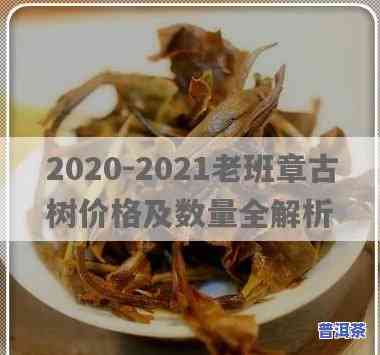 老班章古树茶2020-2021价格走势：深入了解这款热门茶叶的价格变化