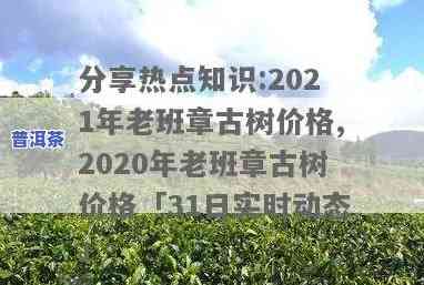 2021老班章古树-2020老班章古树价格