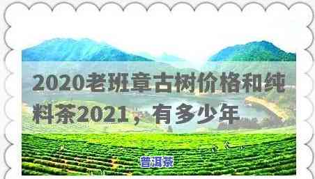 2021老班章古树-2020老班章古树价格