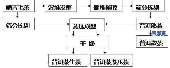 普洱茶卧堆工艺流程图片大全：详细图解与视频教程