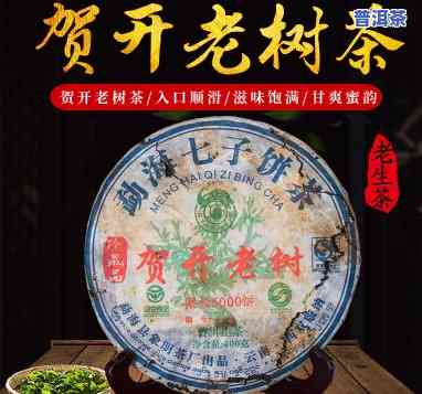 六山十年普洱茶饼价格：特制、之春2012年版全面解析