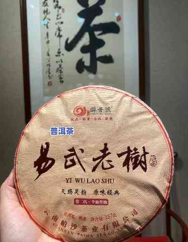 易武好还是老班章好？深度解析两款名茶的优劣