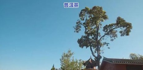 普洱至景东路况怎样-普洱到景东路况