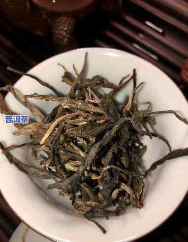 犀牛塘普洱茶怎样冲泡好喝一点，「犀牛塘普洱茶」冲泡指南：怎样冲泡出好喝的普洱茶？