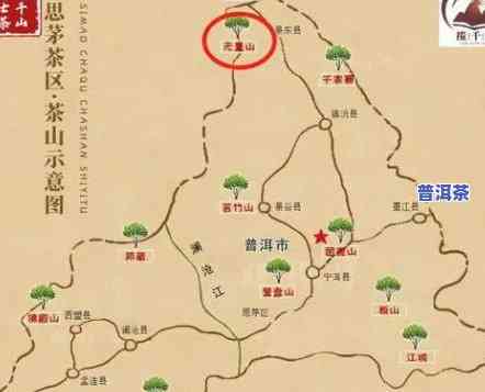 永明普洱茶场在哪里？怎样进货？