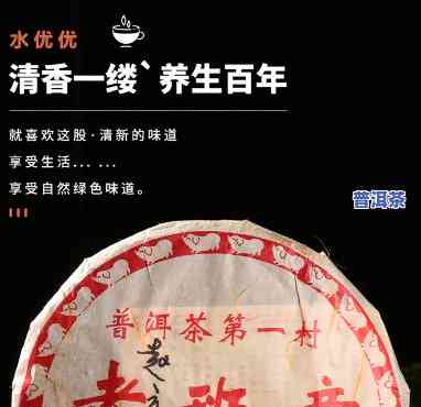 2008年老班章三爬，追寻古树普洱的味道：2008年老班章三爬的品鉴之旅