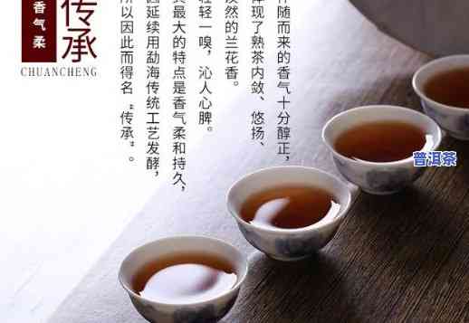 怎么讲解普洱茶：特点与文化全面解析