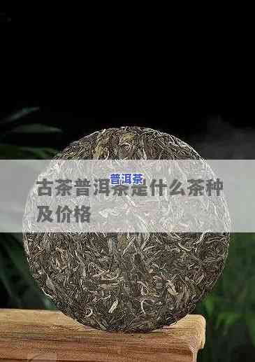 百年古树普洱茶价格是多少？探究其市场价格与价值