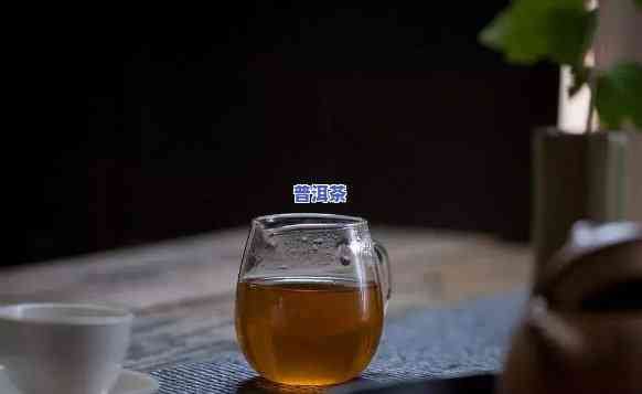 百年老树普洱茶，品味岁月沉淀，探寻百年老树普洱茶的魅力